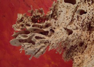 FineArt Print 8885