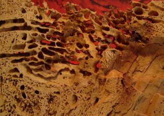 FineArt Print 9223