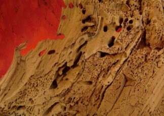 FineArt Print 9232